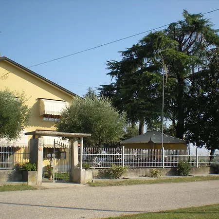 Solidea