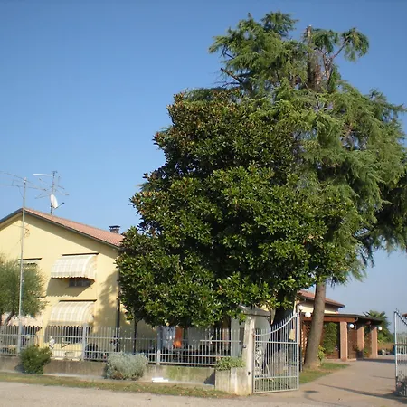 Solidea 3*